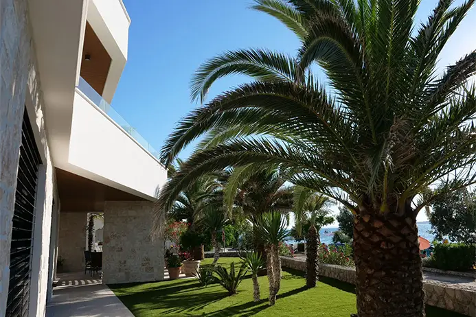 Okućnica s palmama ispred plaže apartmana Dernaj na Viru